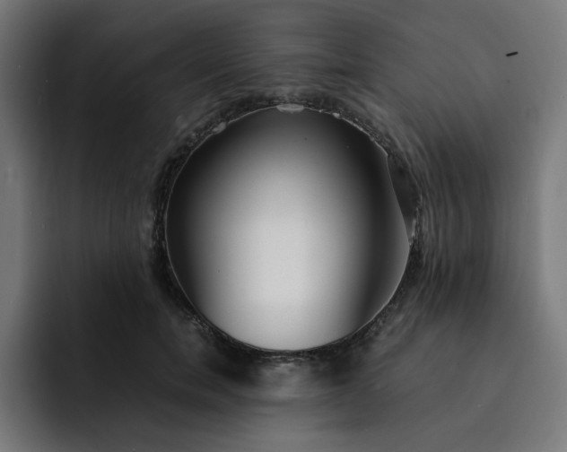 X0000093160750200710101154