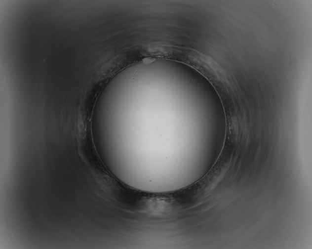 X0000093160751200710101154