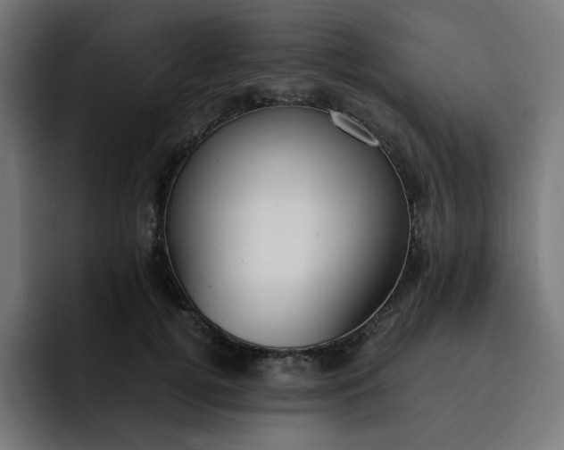 X0000093160752200710101154