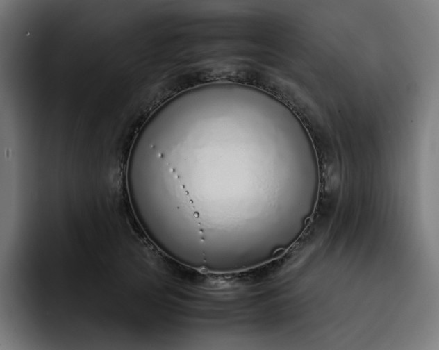 X0000093160753200710101154