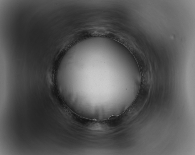 X0000093160755200710101154