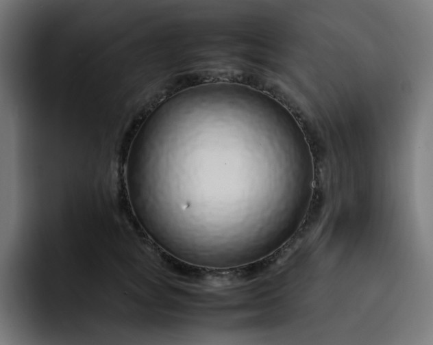 X0000093160757200710101154