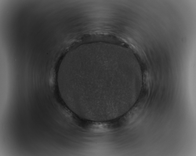 X0000093160760200710101154