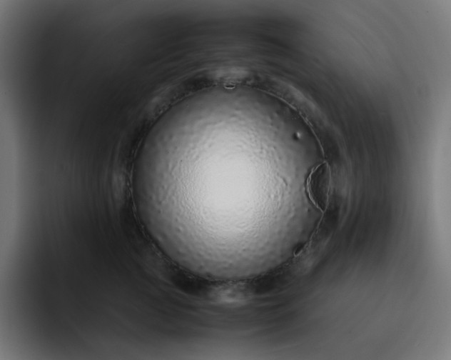 X0000093160761200710101154