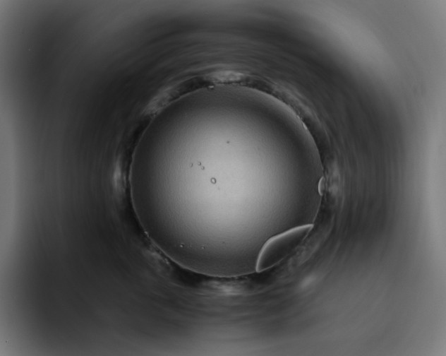 X0000093160763200710101154