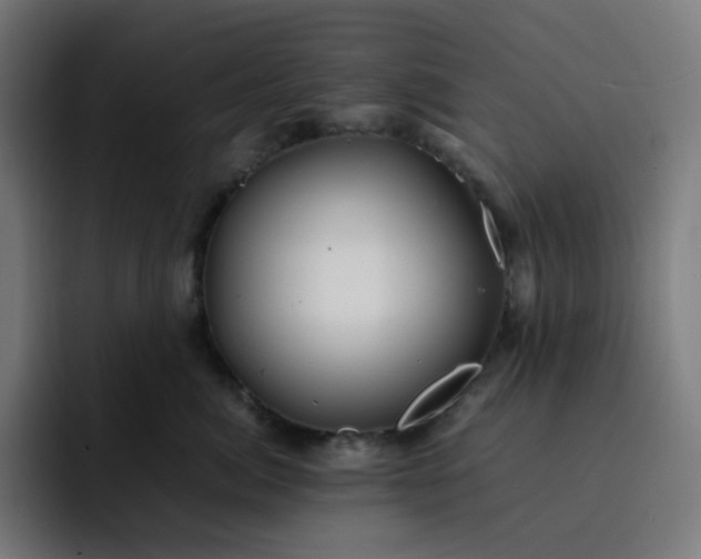 X0000093160764200710101154