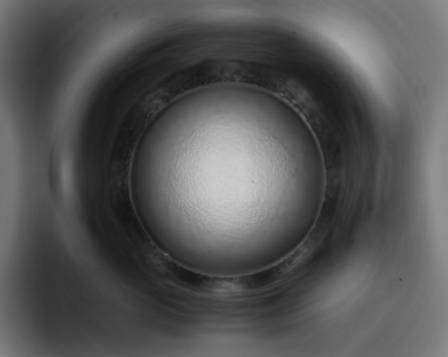 X0000093160765200710101154