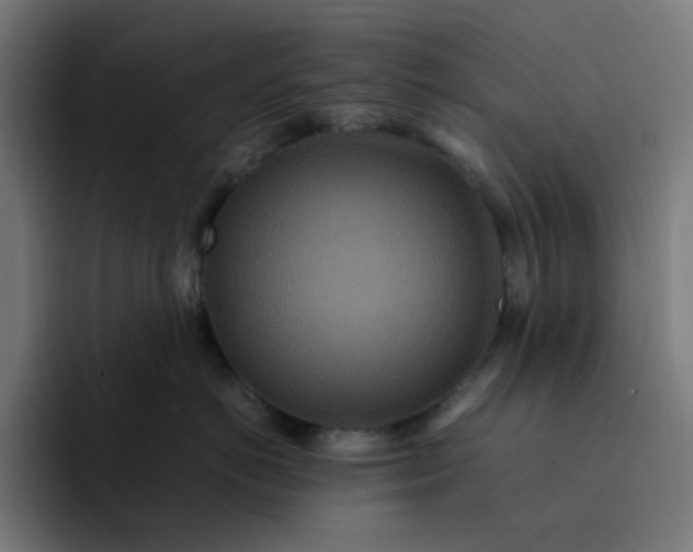 X0000093160766200710101154