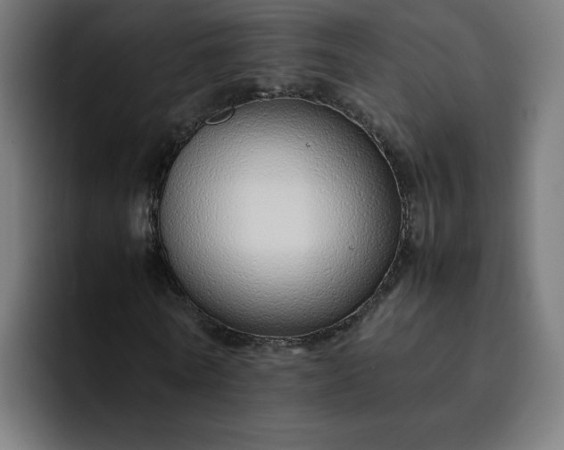X0000093160770200710101153