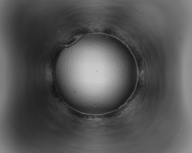 X0000093160772200710101153