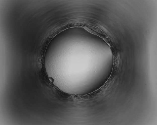 X0000093160774200710101153