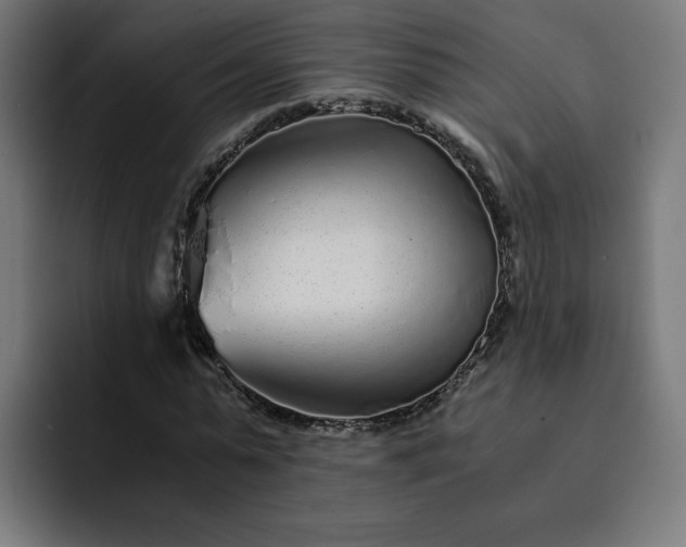 X0000093160775200710101153