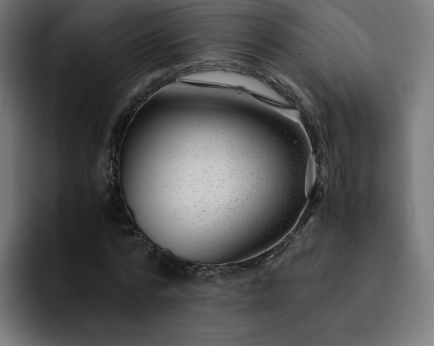 X0000093160776200710101153