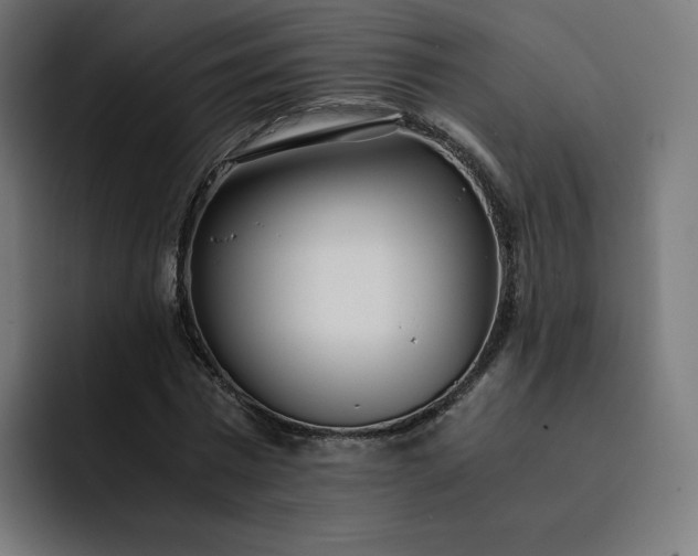 X0000093160777200710101153