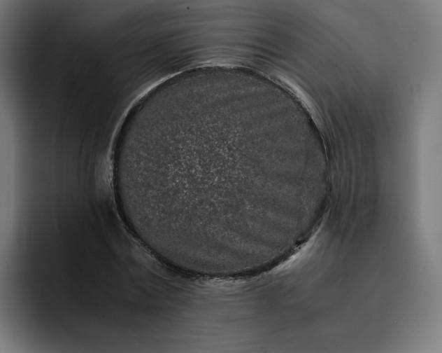 X0000093160779200710101153