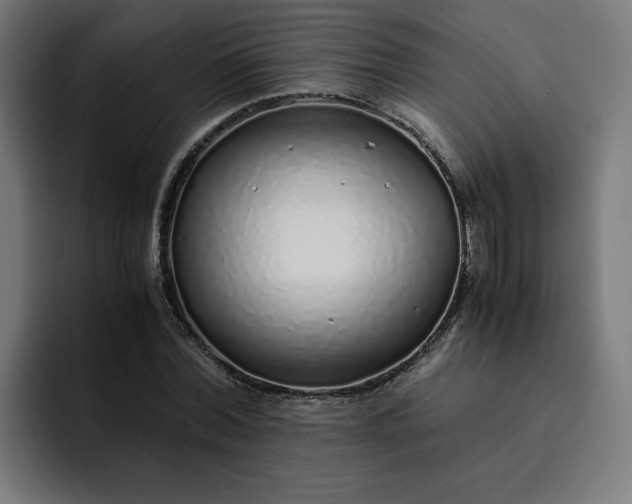 X0000093160780200710101153