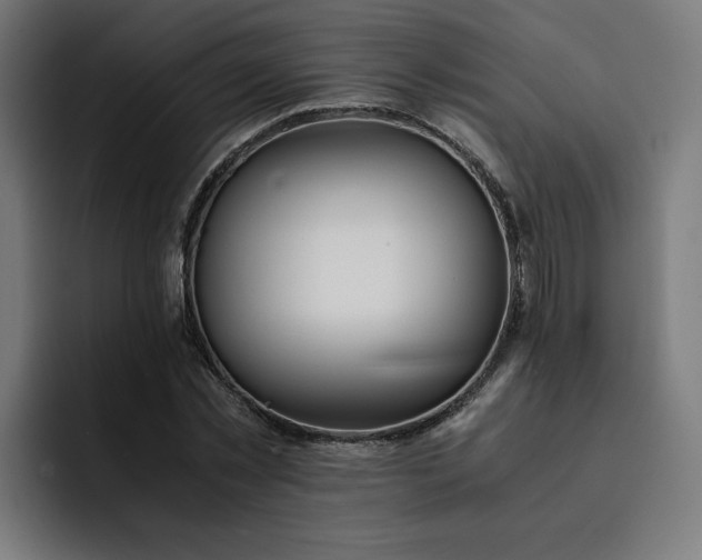 X0000093160781200710101153