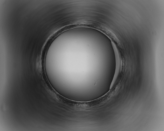 X0000093160784200710101153