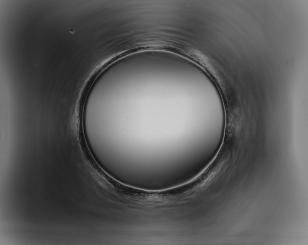 X0000093160787200710101153