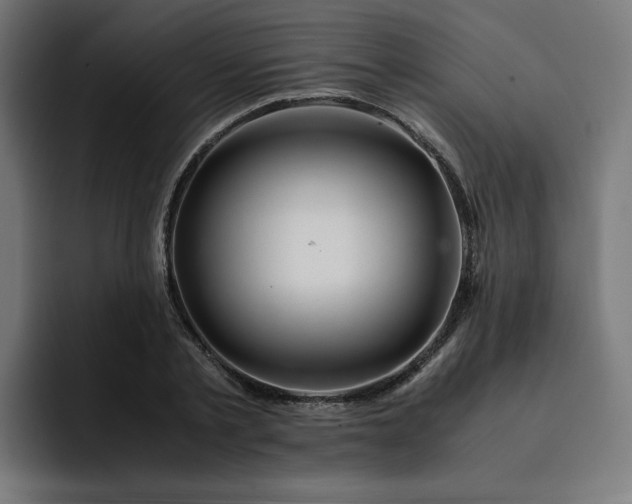 X0000093160789200710101153