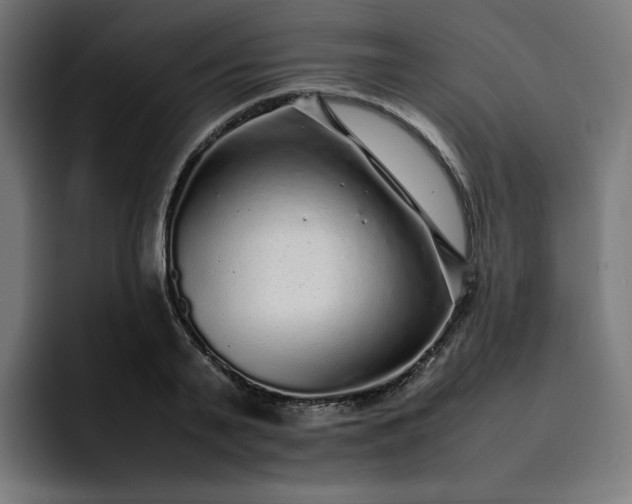 X0000093160791200710101153