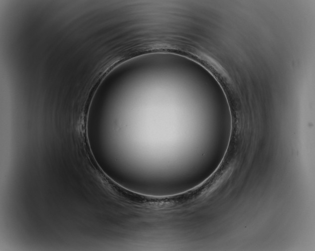 X0000093160793200710101153