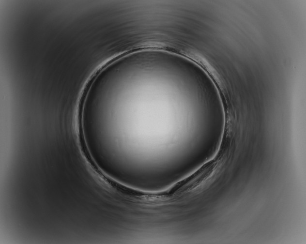 X0000093160795200710101153