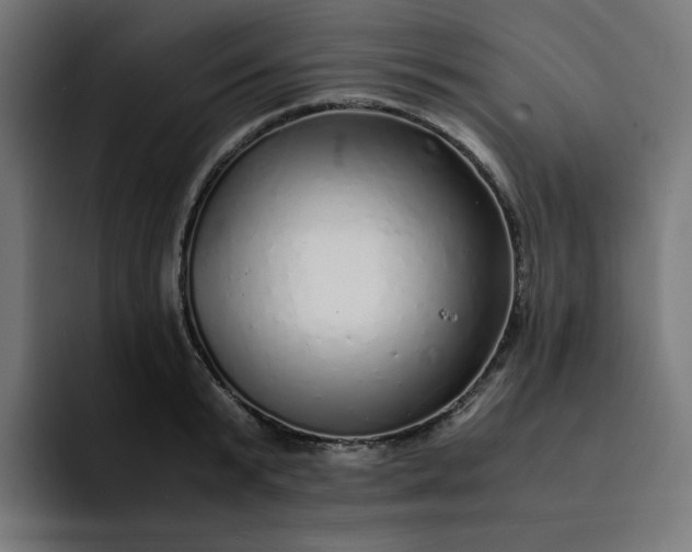 X0000093160799200710101153