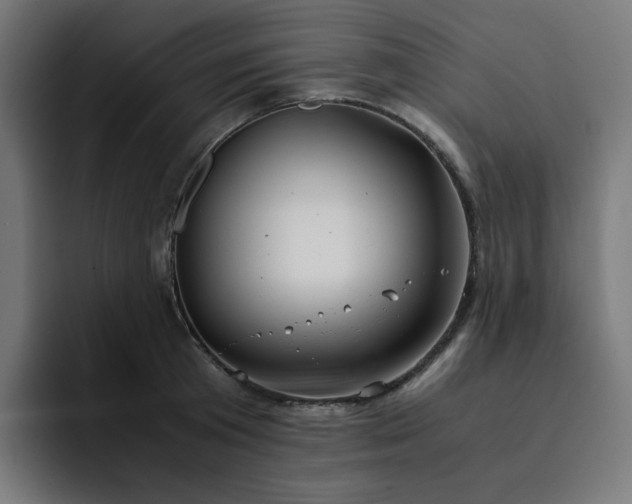 X0000093160801200710101153