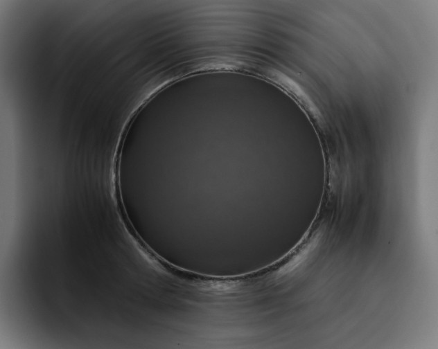 X0000093160802200710101153