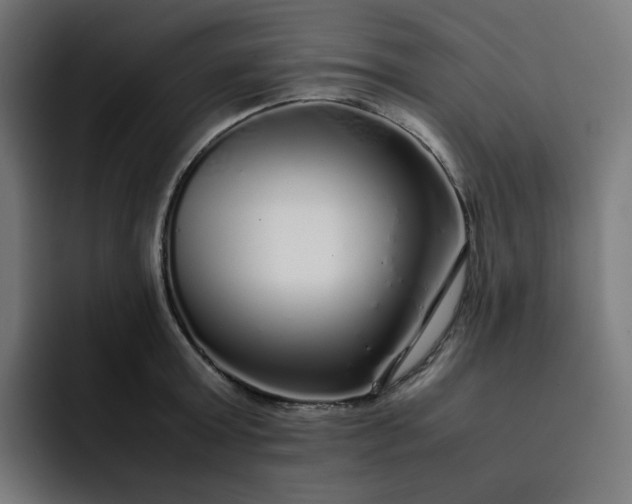 X0000093160803200710101153