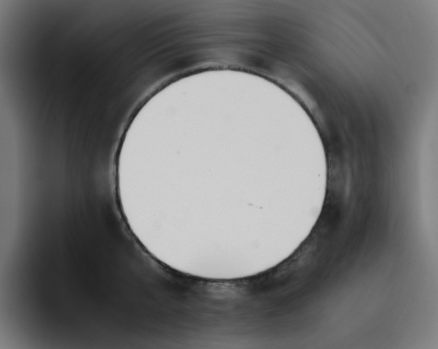 X0000093160807200710101153