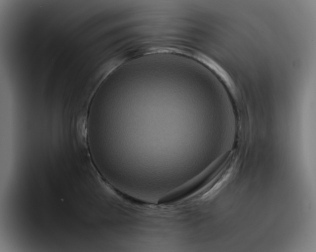 X0000093160809200710101153