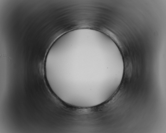 X0000093160810200710101153