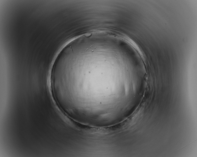 X0000093160811200710101153