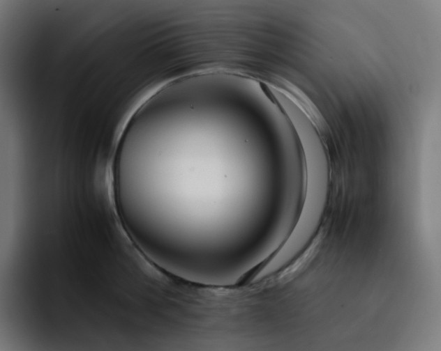 X0000093160812200710101153