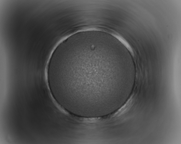 X0000093160813200710101153
