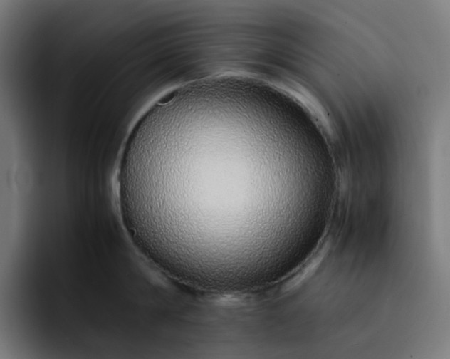 X0000093160814200710101153