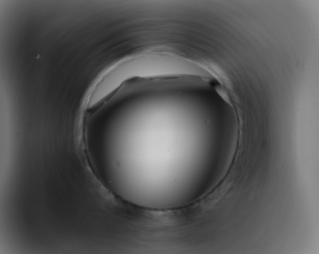 X0000093160816200710101153