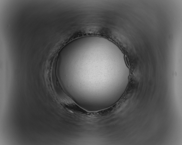 X0000093160817200710101152