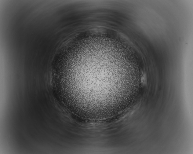 X0000093160819200710101152
