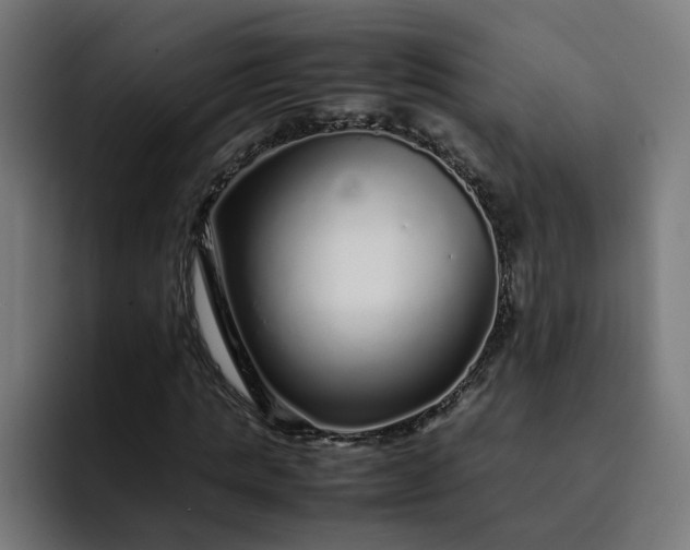 X0000093160821200710101152