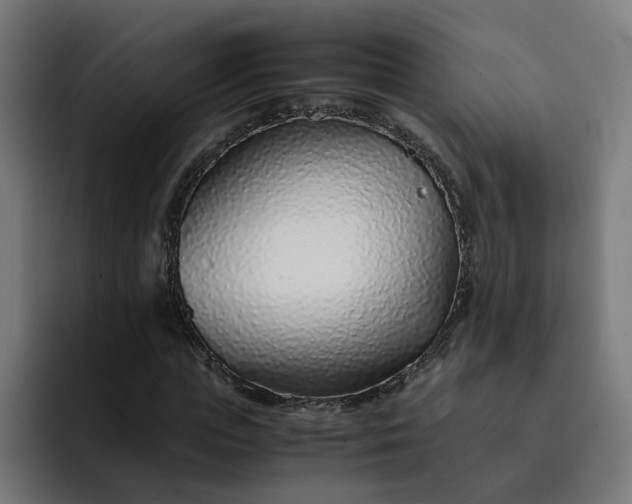 X0000093160823200710101152