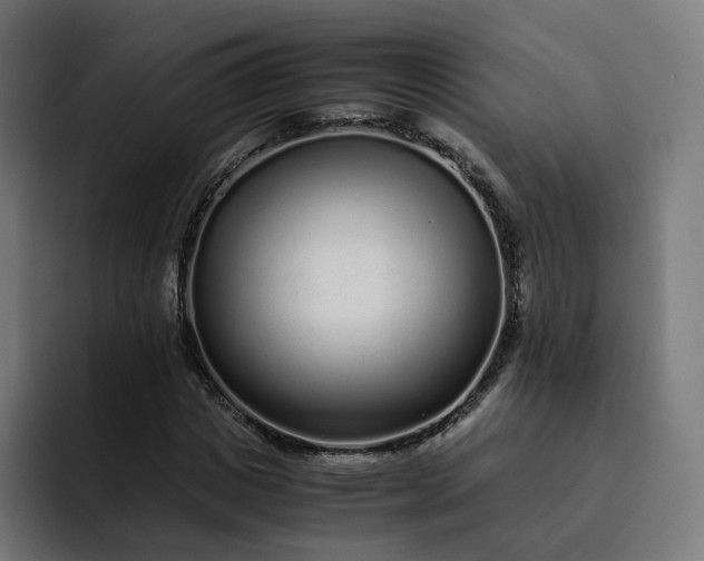 X0000093160825200710101152