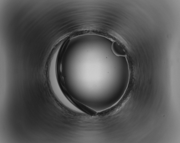 X0000093160826200710101152