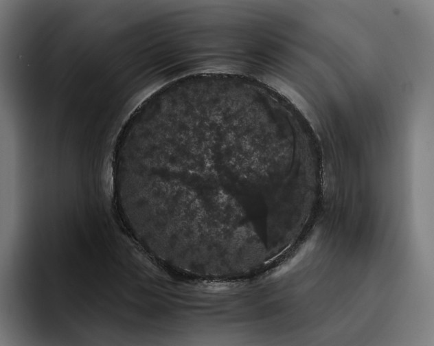 X0000093160829200710101152