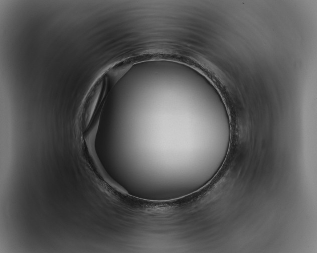 X0000093160830200710101152