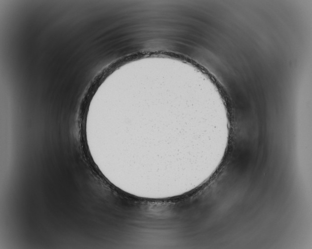X0000093160832200710101152
