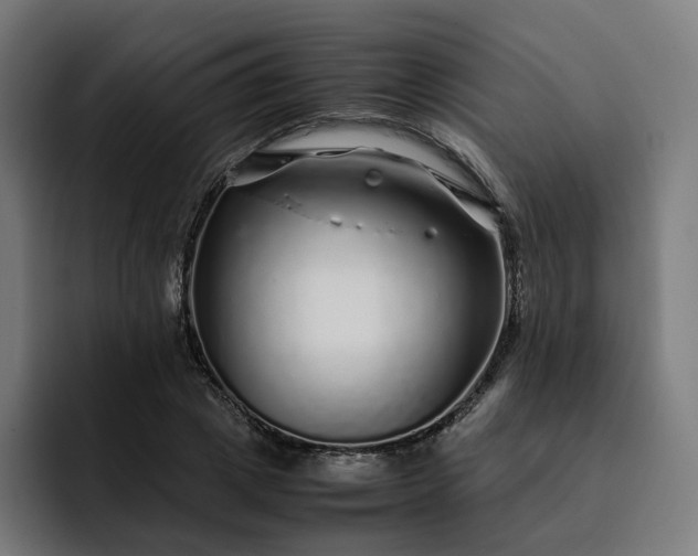 X0000093160833200710101152
