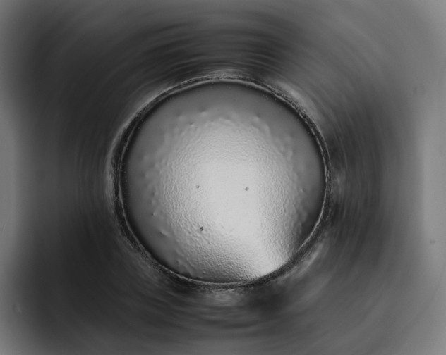 X0000093160835200710101152